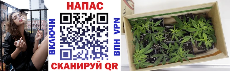 Купить закладку Торжок АМФ  Мефедрон  Канабис  Метамфетамин  APVP 