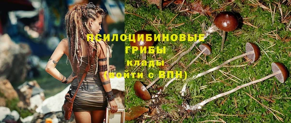 трава Абдулино