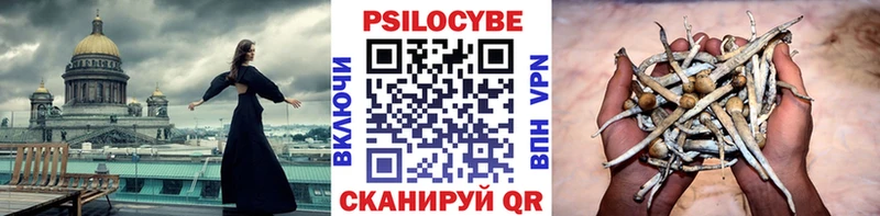 Галлюциногенные грибы ЛСД  Торжок 